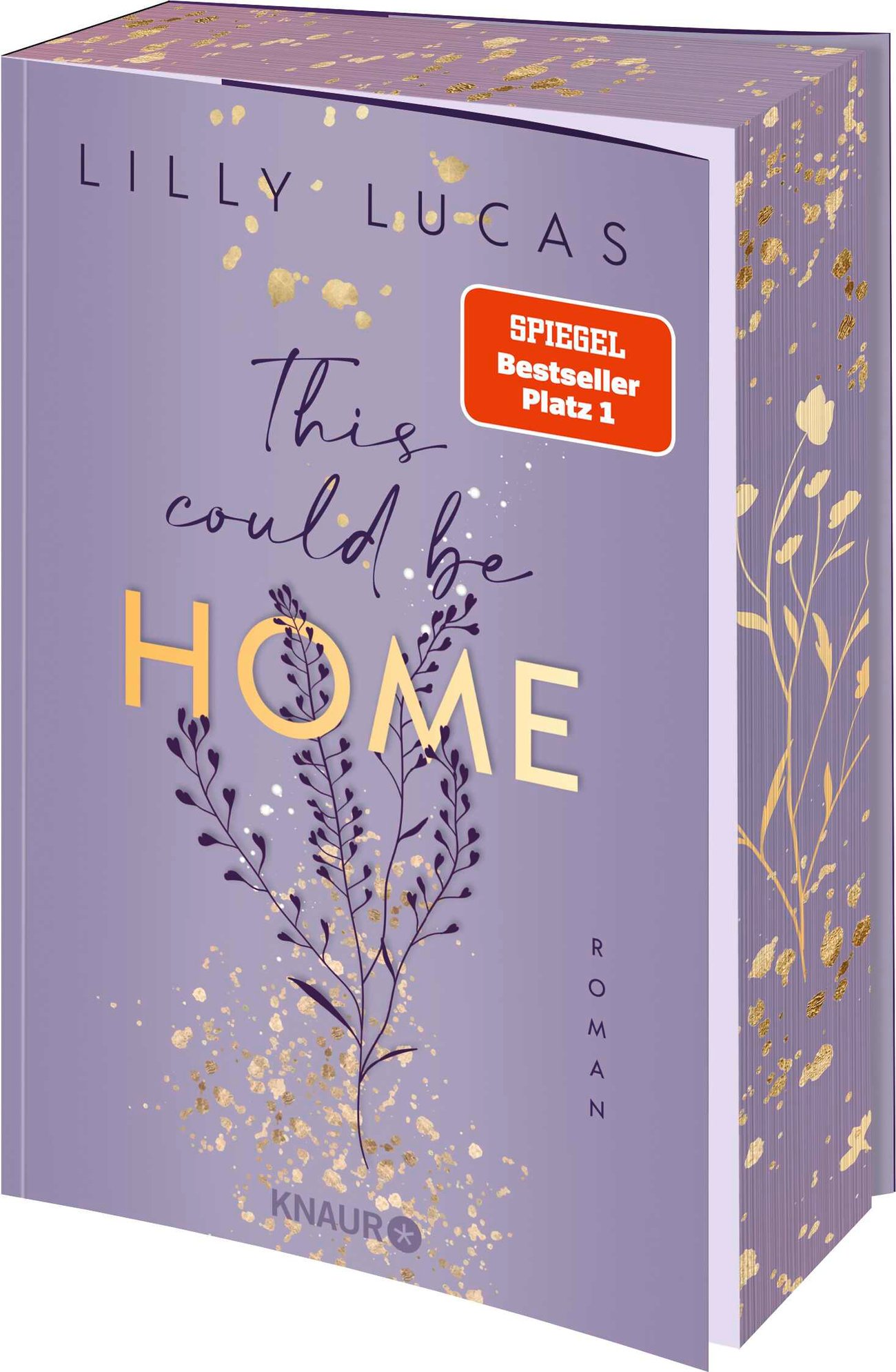 This could be home: Roman | Band 2