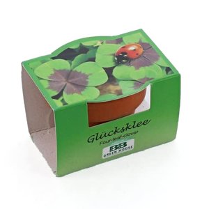 Bull & Bear – Mini-Pflanzset Glücksklee