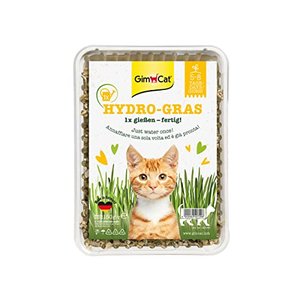 GimCat Hydro-Gras - Frisches Katzengras aus kontrolliertem Feldanbau in nur 5 bis 8 Tagen