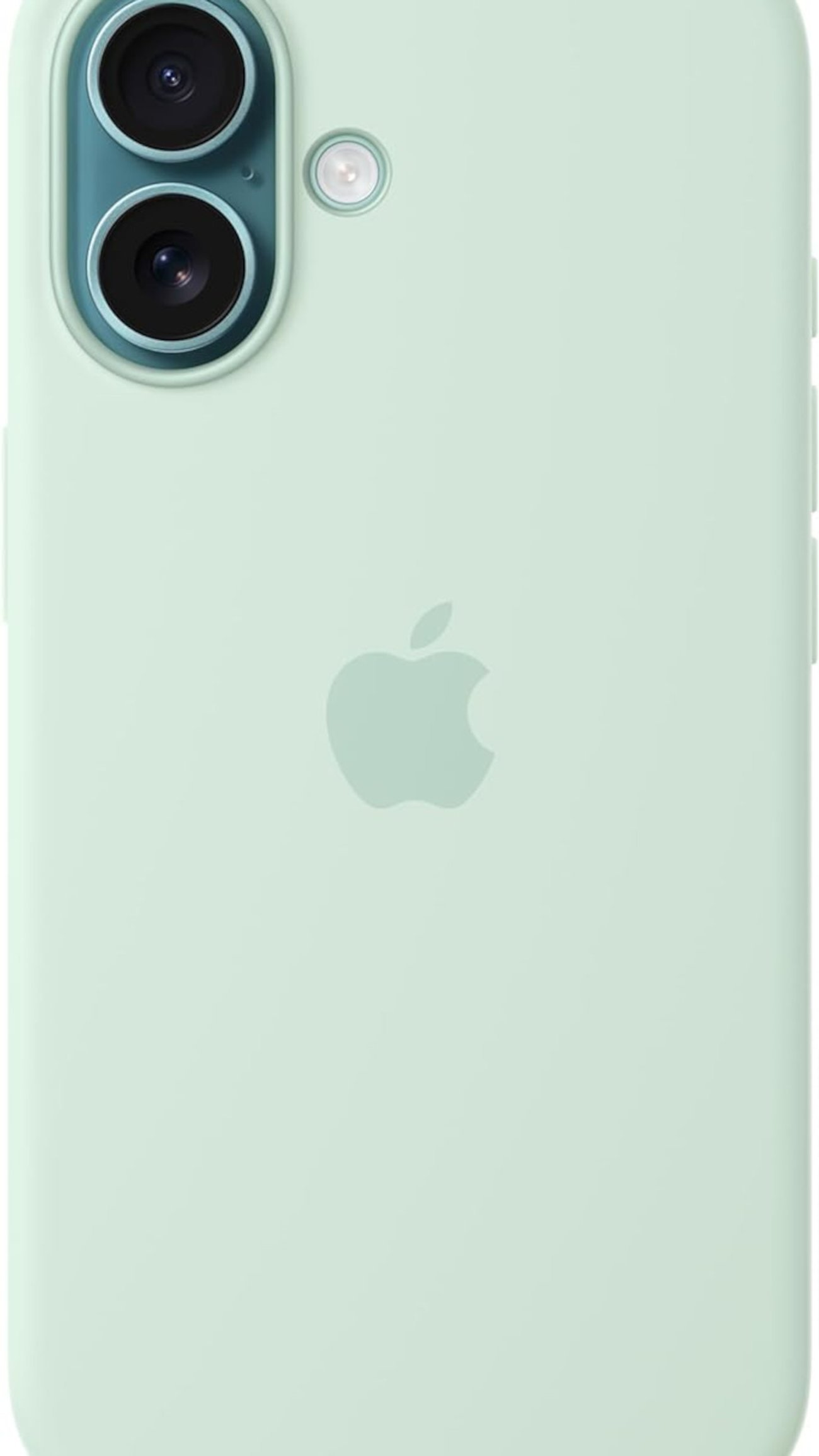 Apple iPhone 16 Silikon Case