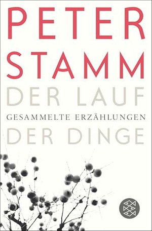 Der Lauf der Dinge: Gesammelte Erzählungen