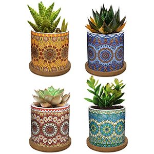 Keramik Sukkulenten Töpfe mit Kaktus