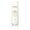 Goldwell DLS Sun Reflects After Sun Shampoo