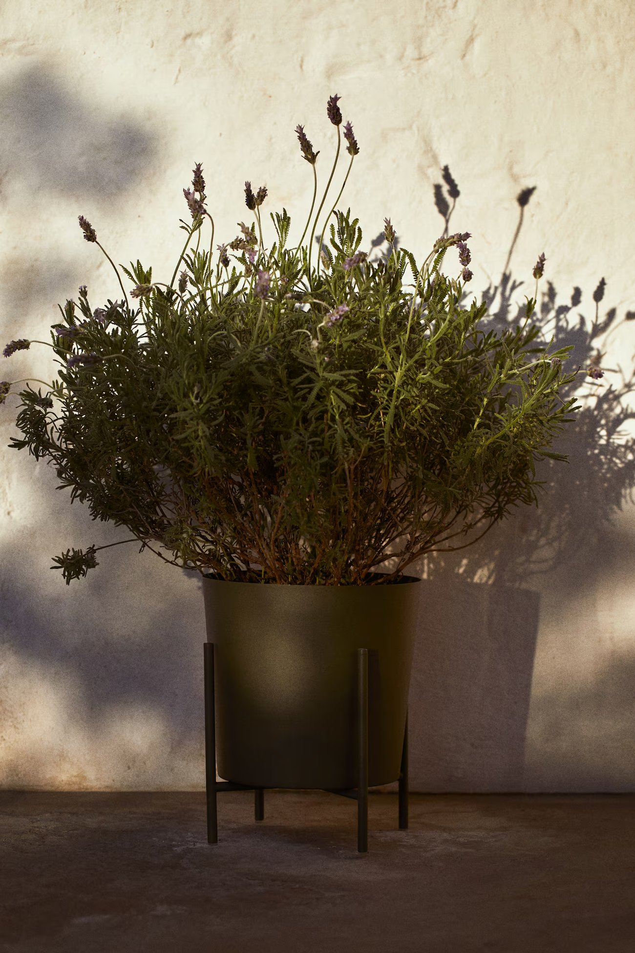 Großer Blumentopf auf einem Ständer