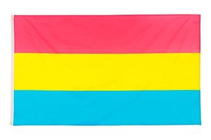 PHENO FLAGS Pan Pride Flagge - Pansexualität Flagge mit Messing-Ösen - 90 x 150 cm - Wetterfeste Fah
