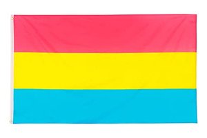 PHENO FLAGS Pan Pride Flagge - Pansexualität Flagge mit Messing-Ösen - 90 x 150 cm - Wetterfeste Fah