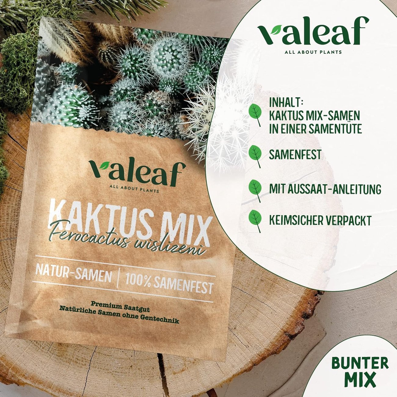 Valeaf Kaktus Mix