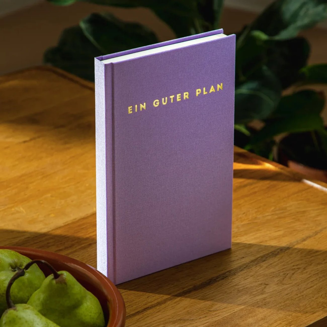 Ein guter Plan 2026