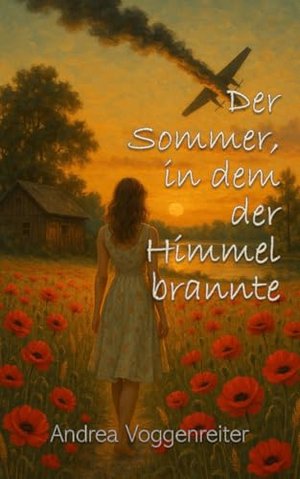 Der Sommer, in dem der Himmel brannte: Ein Dorf. Ein Absturz. Ein Fremder, der alles verändert.