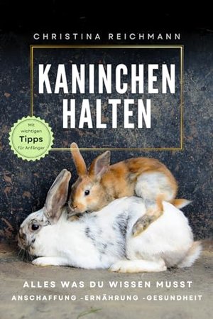 Kaninchen halten: Alles was du wissen musst