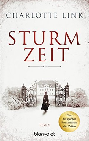 Sturmzeit: Roman