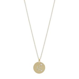 Pilgrim Jewelry Halskette mit Sternzeichen und Kristall (Vergoldet - Wassermann Sternzeichen)