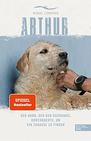 Arthur: Der Hund, der den Dschungel durchquerte, um ein Zuhause zu finden