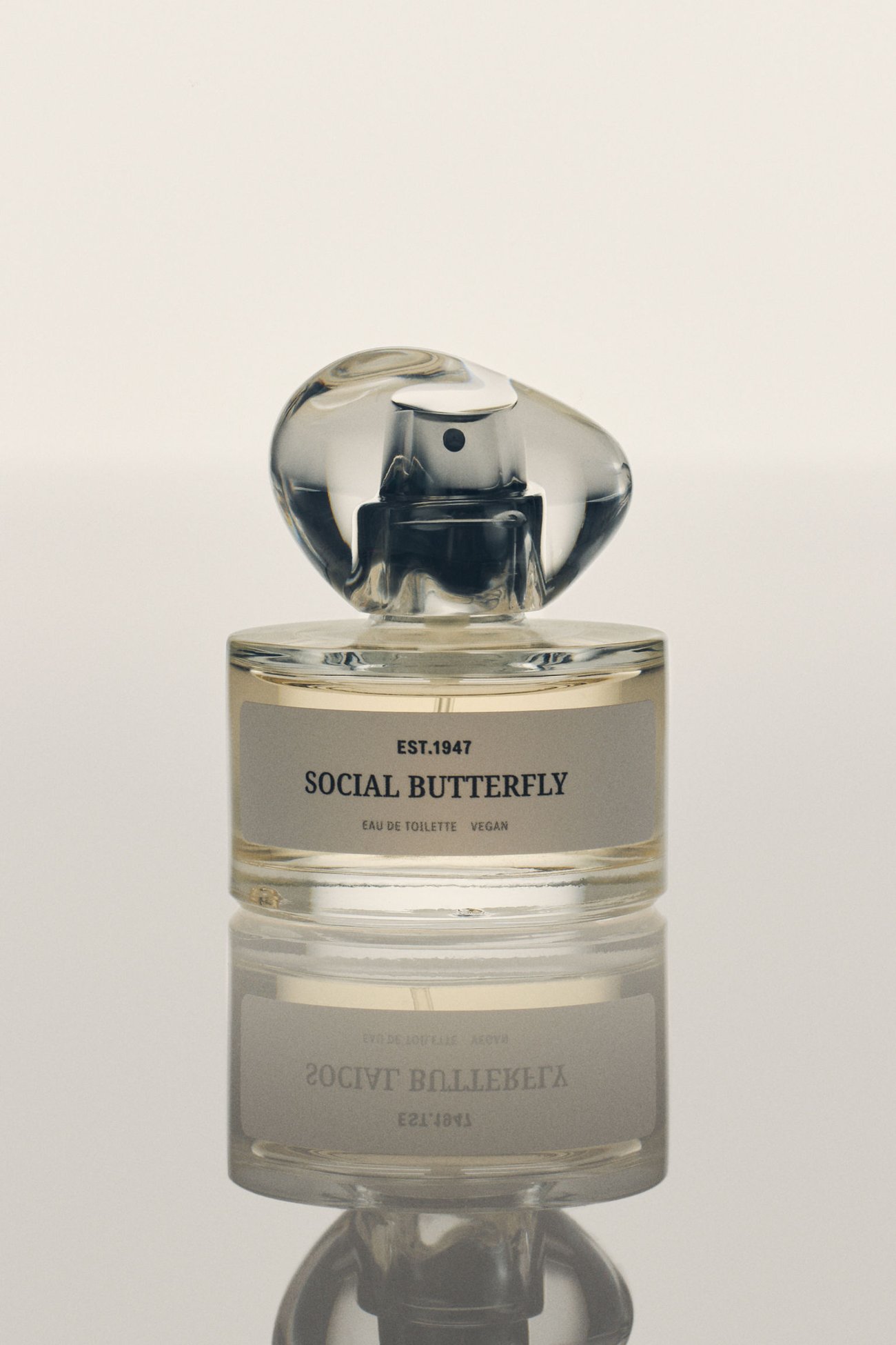 Social Butterfly