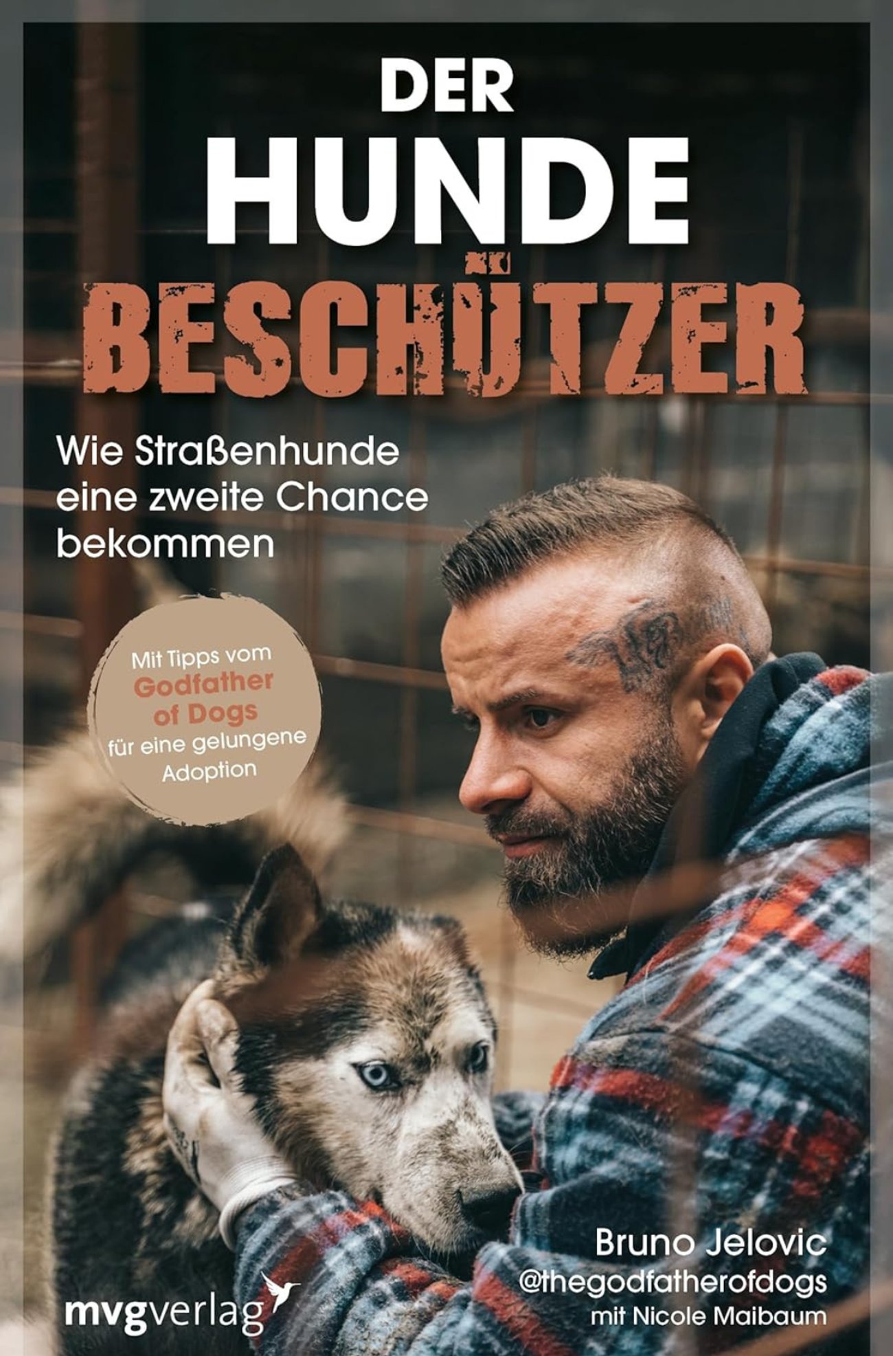 Der Hundebeschützer: Wie Straßenhunde eine zweite Chance bekommen