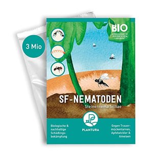 Plantura SF-Nematoden gegen Trauermücken