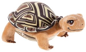 Schildkröte Henrietta