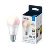 Wiz Lampe 60W A60