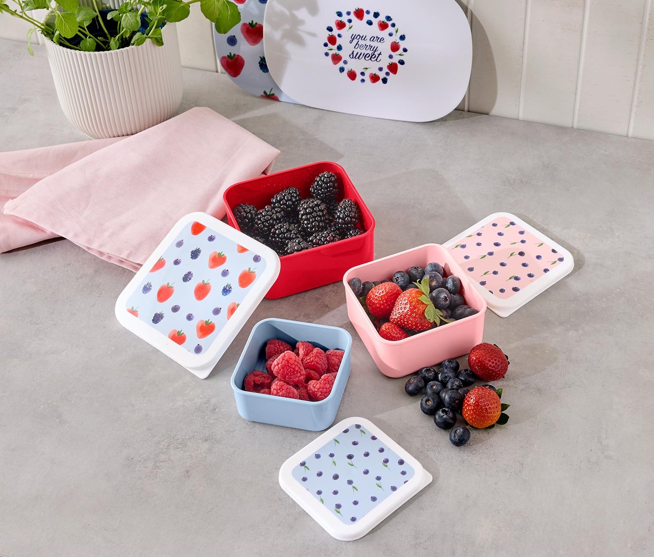 Farbenfrohes Snackdosen-Set