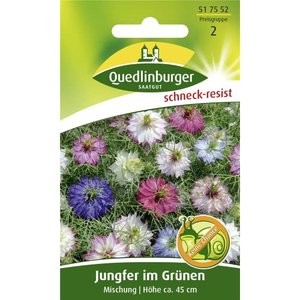 Jungfer im Grünen, Mischung