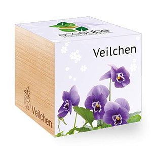 Feel Green Ecocube Veilchen