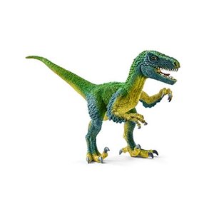 Velociraptor, Multicolor