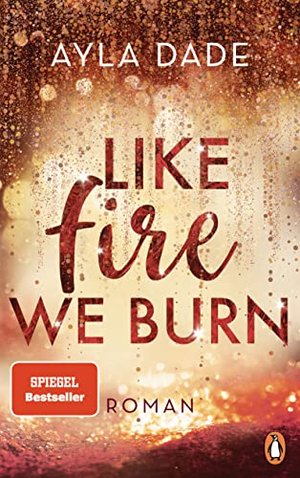 Like Fire We Burn: Roman. Knisternde New-Adult-Bestsellerromantik (Die Winter-Dreams-Reihe, Band 2)