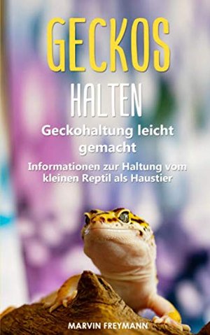 Geckos halten: Geckohaltung leicht gemacht - Grundlegende Informationen zur Haltung