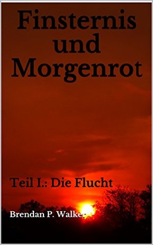 Finsternis und Morgenrot: Teil I.: Die Flucht