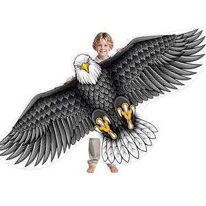 SGftre – Drachen für Kinder und Erwachsene