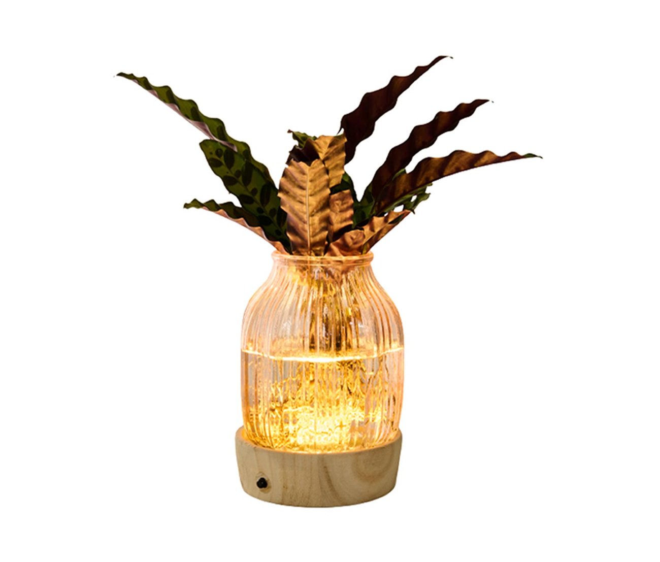 Wasserpflanze im Glas mit LED