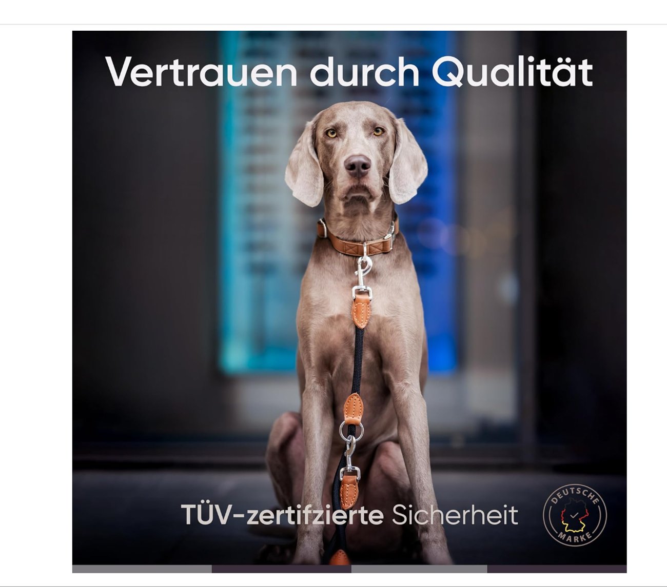 FREUDENTIER - Hundeleine 2 m für mittelgroße & große Hunde