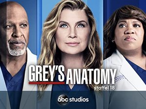 Grey's Anatomy - Staffel 18