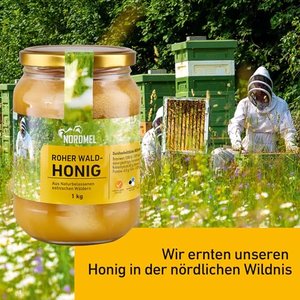 Reiner, wilder, natürlicher, roher Honig, 1 kg