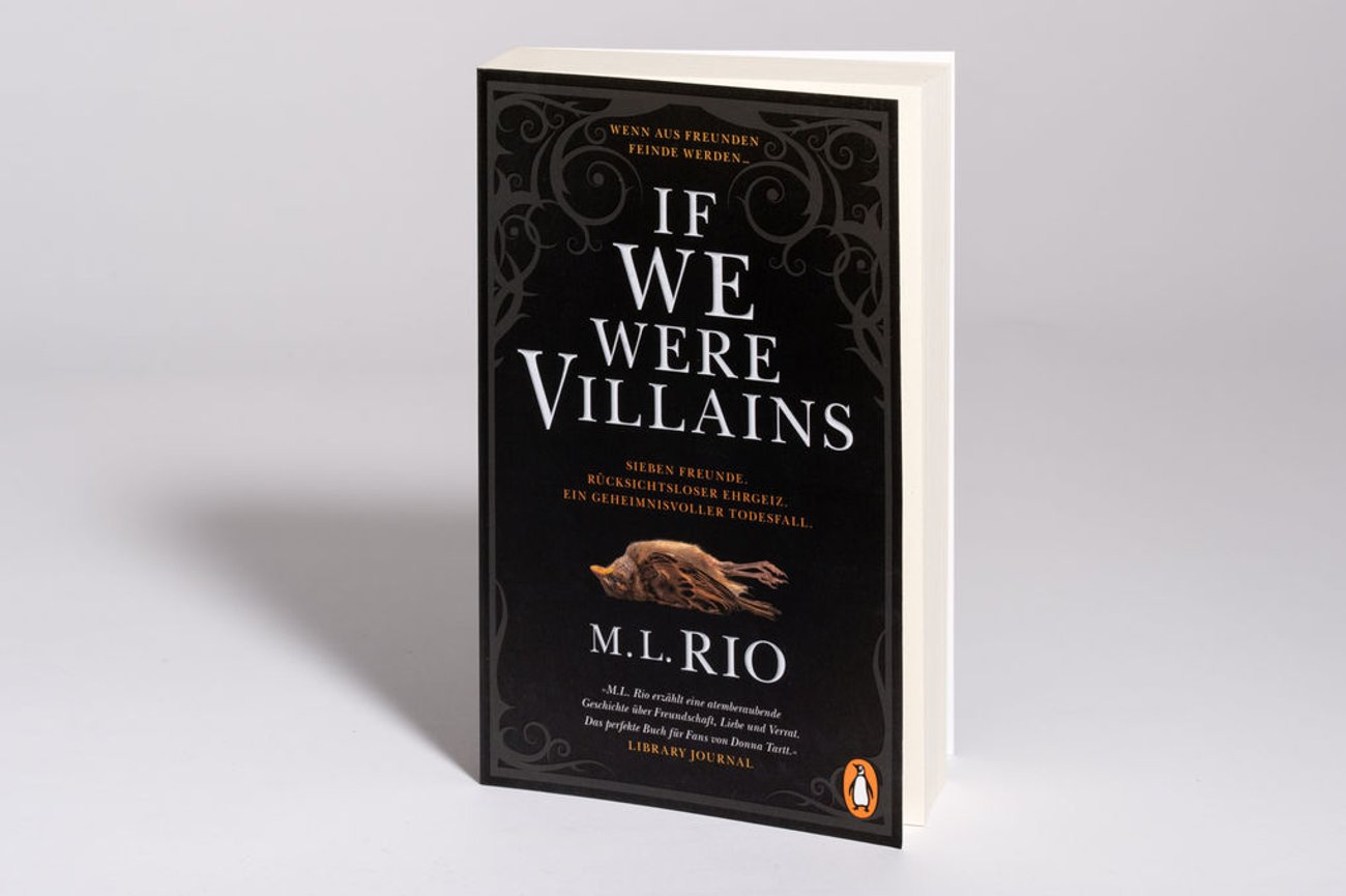 M. L. Rio: If We Were Villains