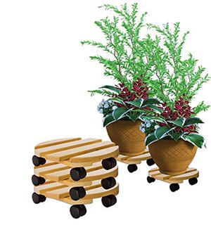 BigDean Pflanzenroller