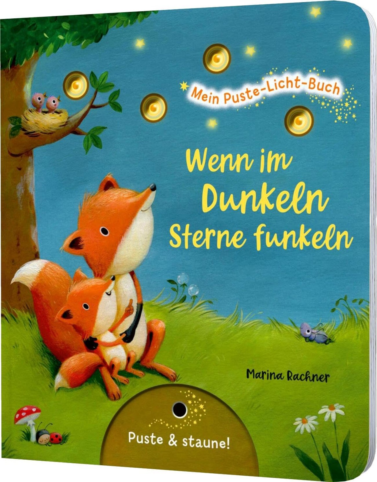 Mein Puste-Licht-Buch: Wenn im Dunkeln Sterne funkeln: Gute-Nacht-Buch