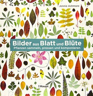 Bilder aus Blatt und Blüte: Pflanzen sammeln, pressen und komponieren