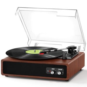 FYDEE Vinyl Plattenspieler mit Eingebauten Stereo-Lautsprechern