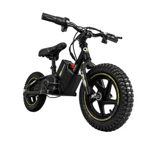 Actionbikes Motors E-Laufrad