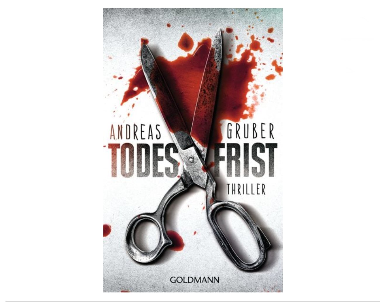 Todesfrist /Maarten S. Sneijder Band 1