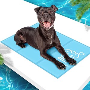 Pawtasy Kühlmatte für Hund