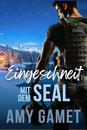 Eingeschneit mit dem SEAL (Die HERO Force 1)