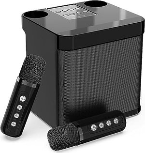 Bluetooth Karaoke-Anlage