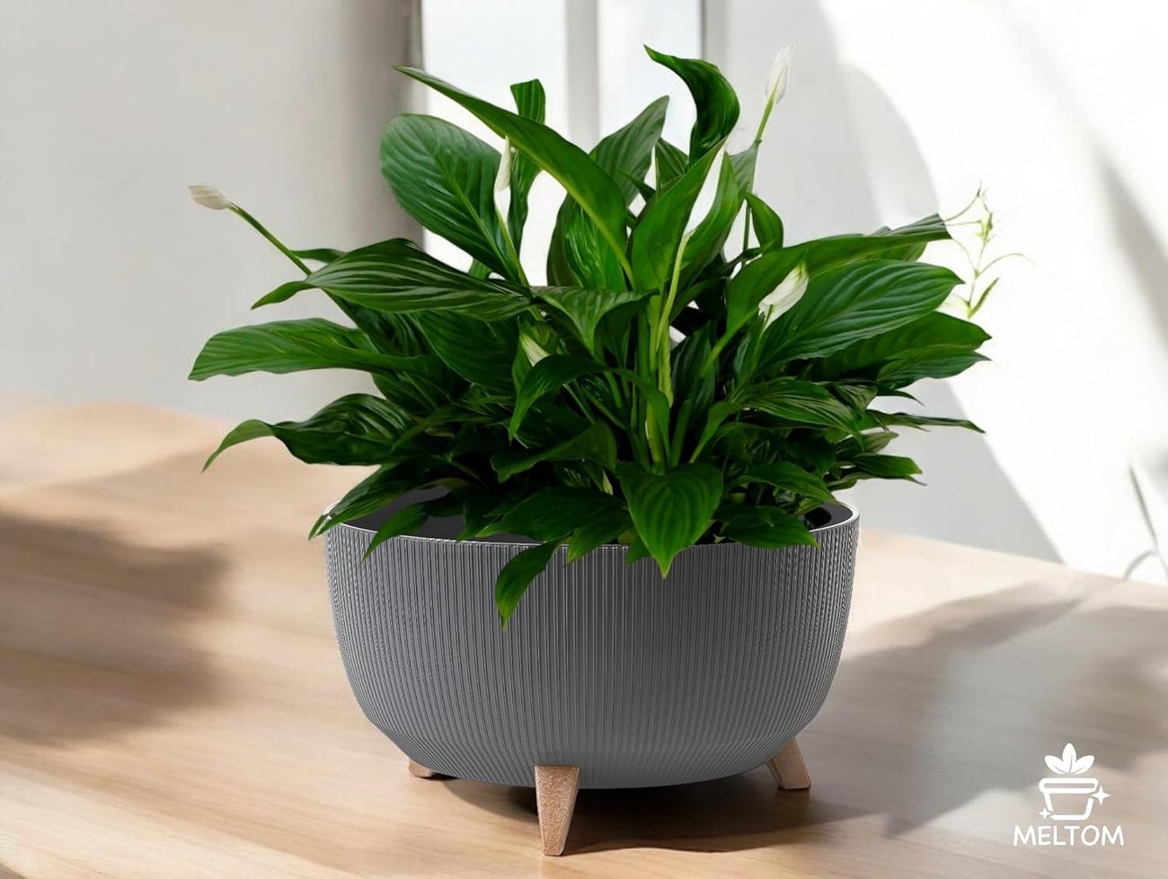 MELTOM Blumentopf Schale mit Füßen