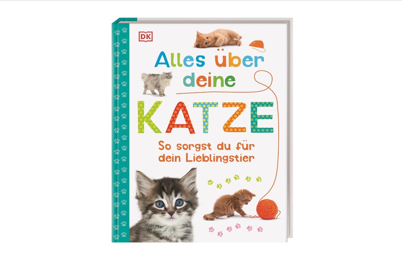 Alles über deine Katze