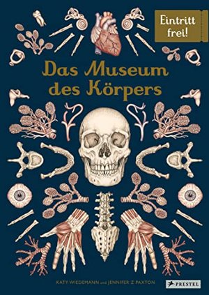 Das Museum des Körpers: Eintritt frei!