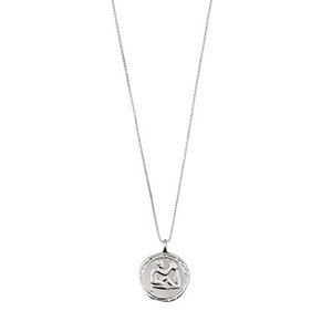 Jewelry Halskette mit Wassermann Sternzeichen - Versilbert