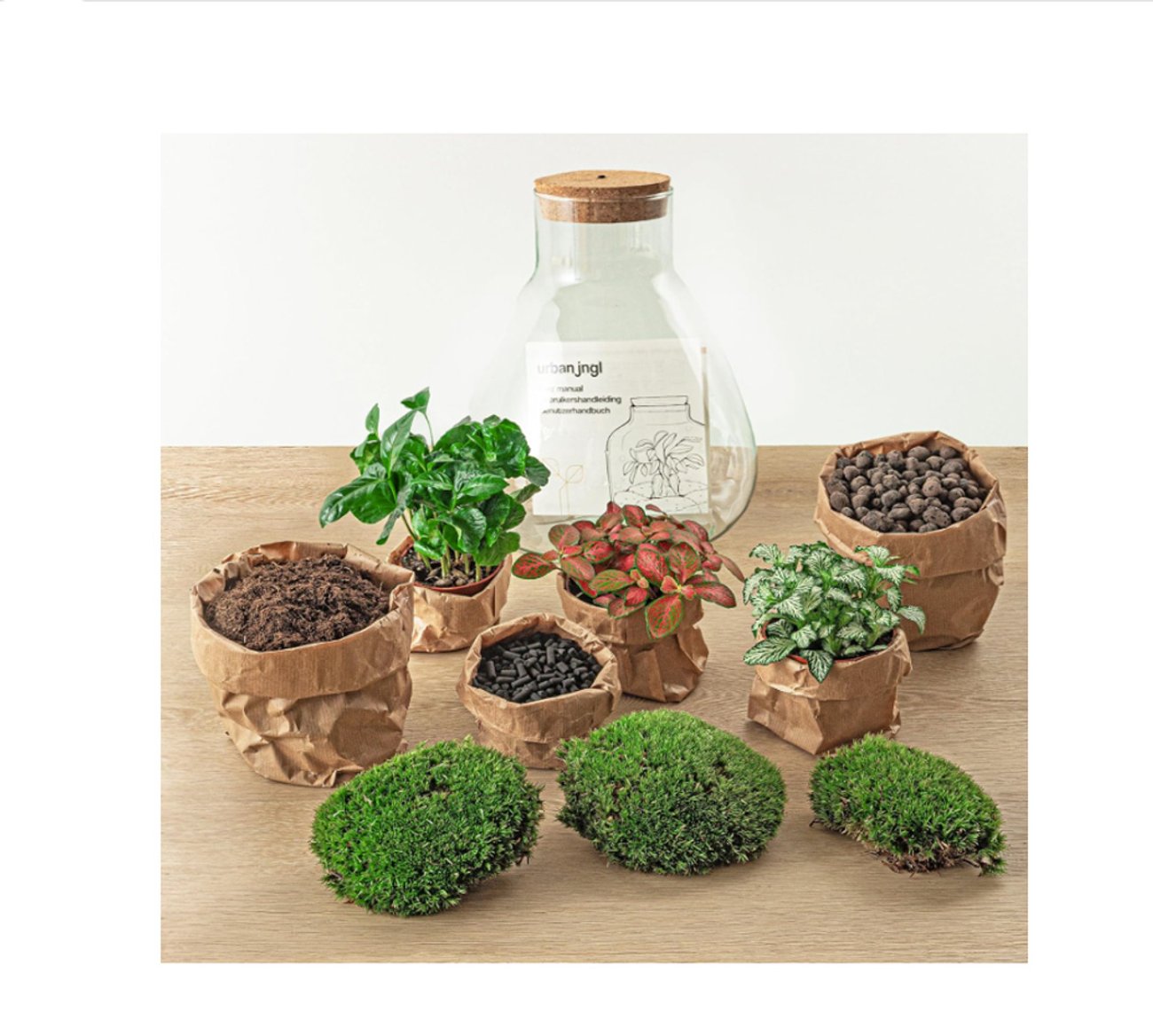 Flaschengarten: DIY-Terrarium- Set