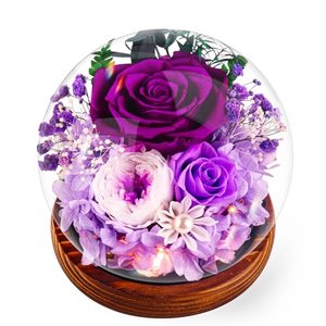 Touloube Lila Ewige Rose